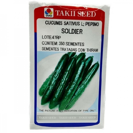 Pepino Soldier 350 Mx
